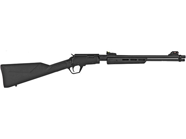 Rossi Gallery 22 LR