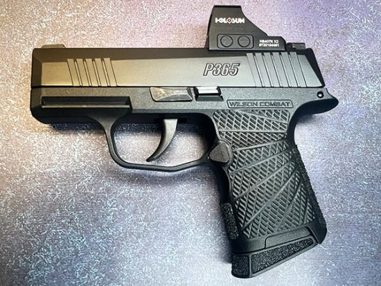 Sig P365 Jagerwerks Cut Holosun 407K